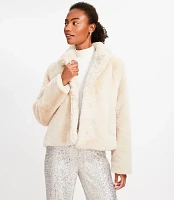 Modern Faux Fur Jacket