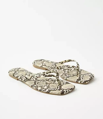 Square Toe Flip Flops