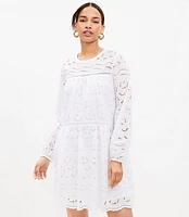 Eyelet Long Sleeve Swing Dress