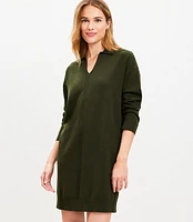 Petite Rib Trim Collared Mini Sweater Dress