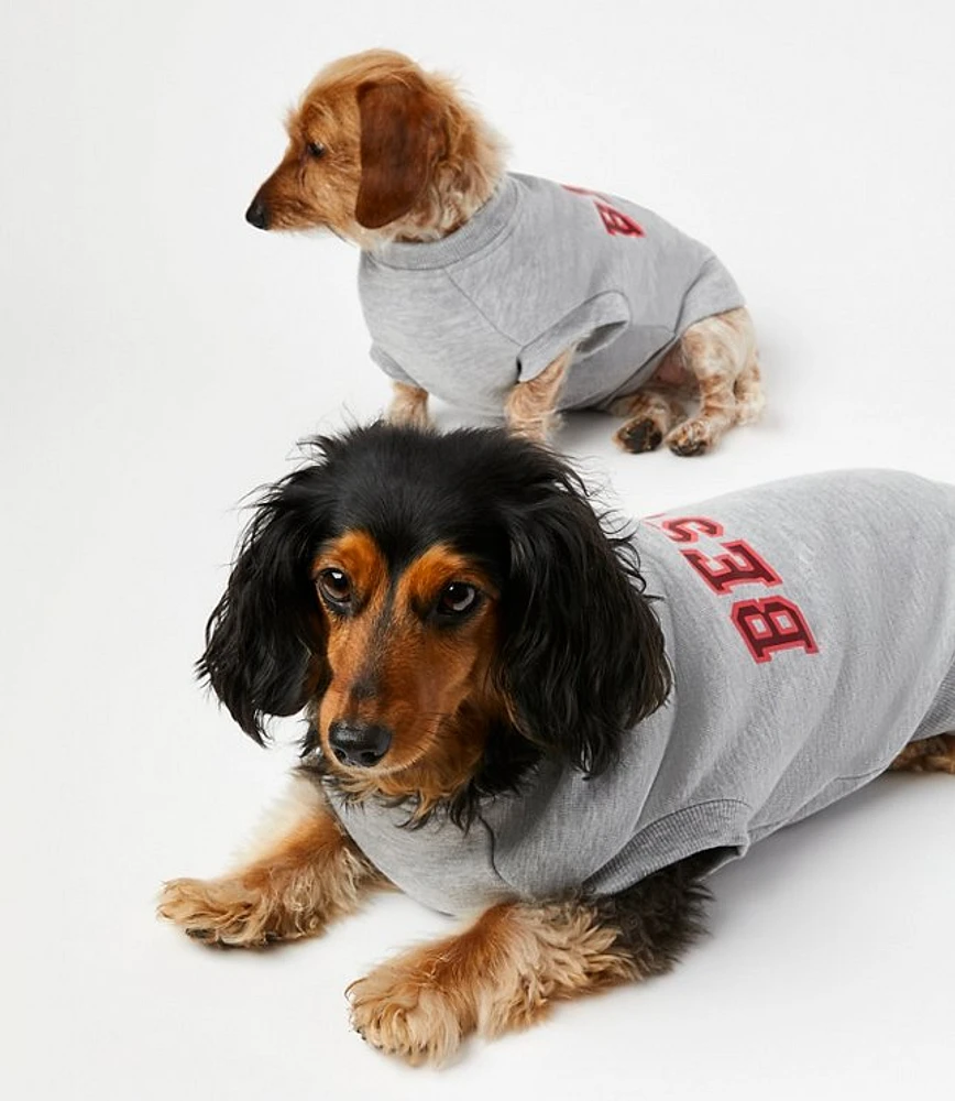 Bestie Dog Sweatshirt