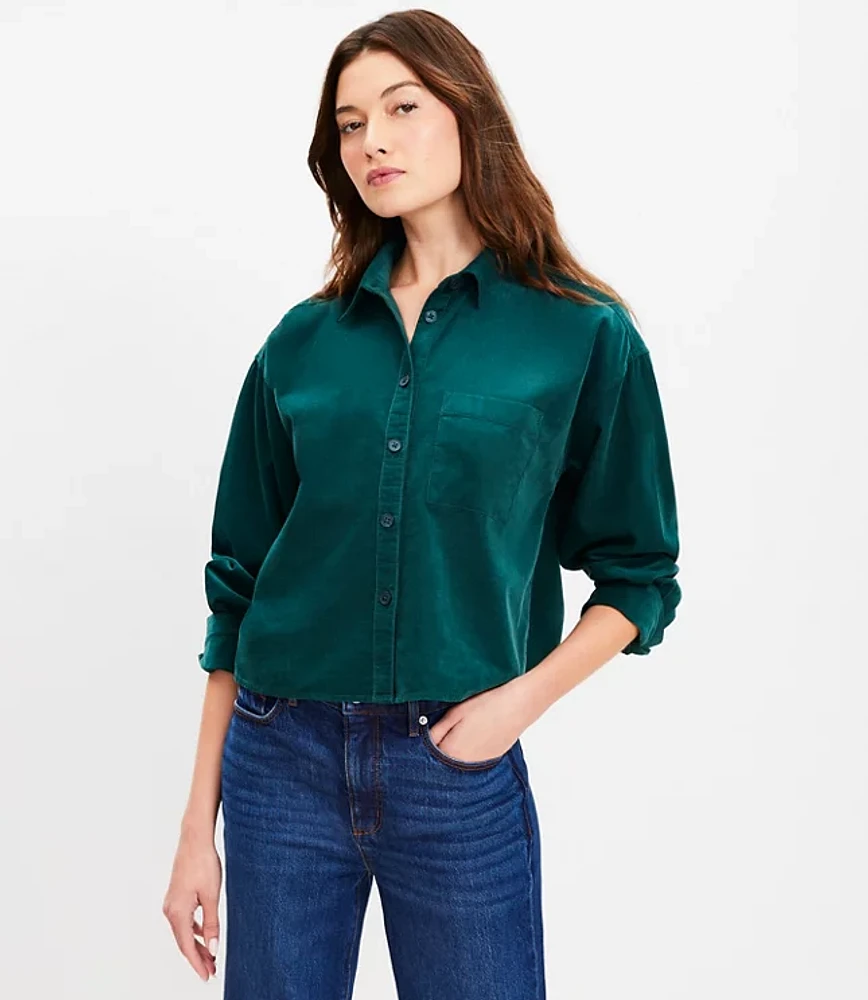 Petite Cotton Corduroy Modern Pocket Shirt