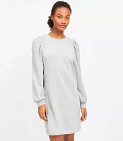 Pearlized Sleeve Mini Sweatshirt Dress