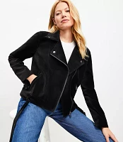 Petite Velvet Moto Jacket