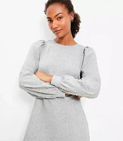 Tall Pearlized Sleeve Mini Sweatshirt Dress