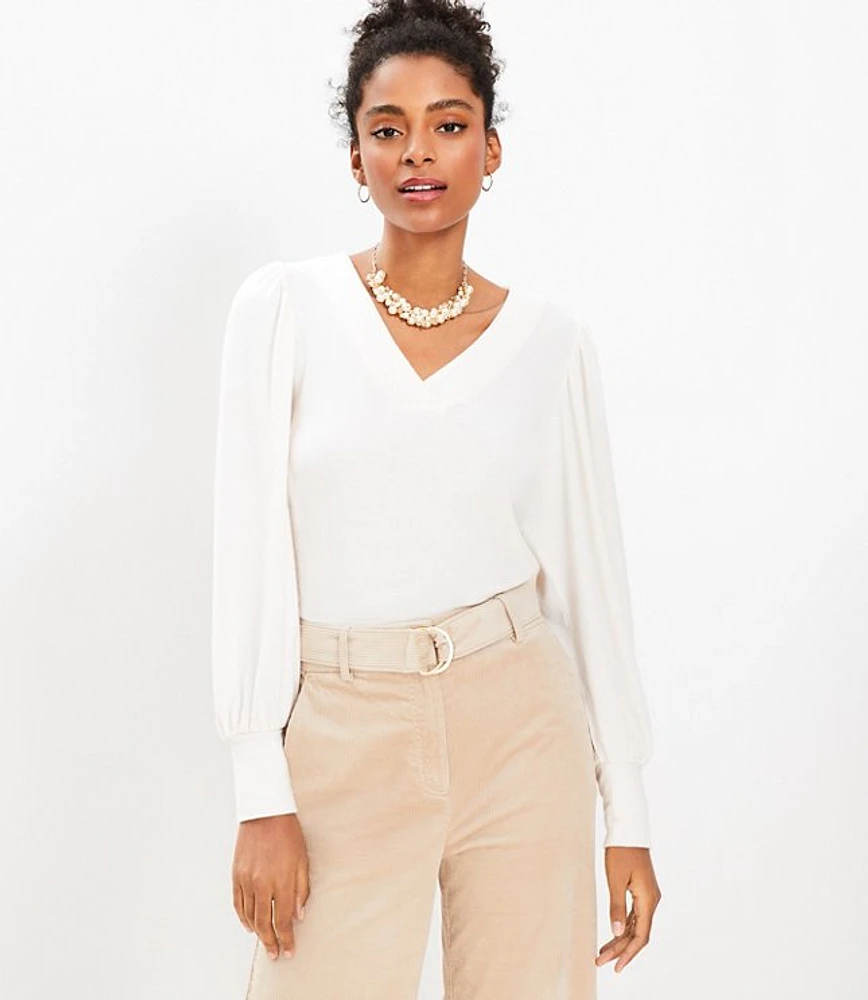 Petite Textured Cozy Puff Sleeve V-Neck Top