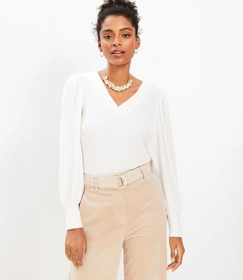 Petite Textured Cozy Puff Sleeve V-Neck Top