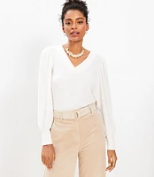 Petite Textured Cozy Puff Sleeve V-Neck Top