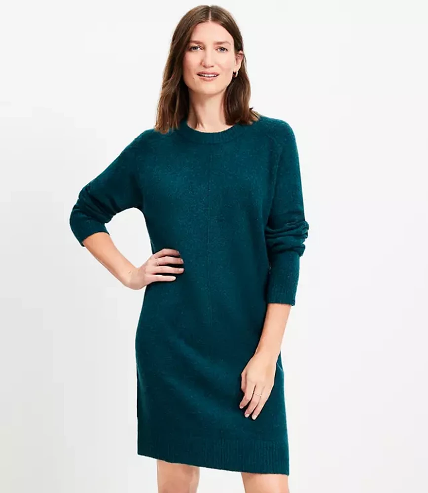 Petite Saddle Sleeve Mini Sweater Dress