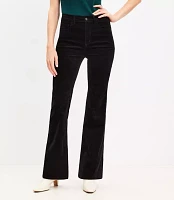 Petite Five Pocket Slim Flare Pants Velvet