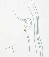 Multicolored Stud Earring Set