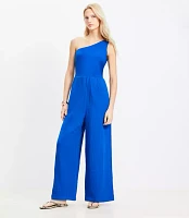 LOFT Beach Triple Cloth Mixed Media One Shoulder Jumpsuit