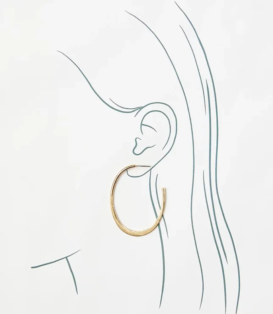 Sculpted Hoop Earrings