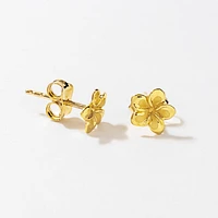 Flower Stud Earrings in 10K Yellow Gold