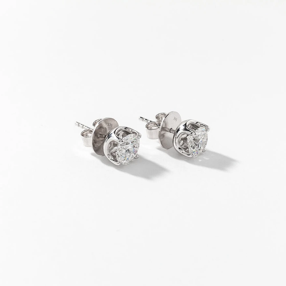 Lab Grown Diamond Stud Earrings in 14K White Gold ( ct tw