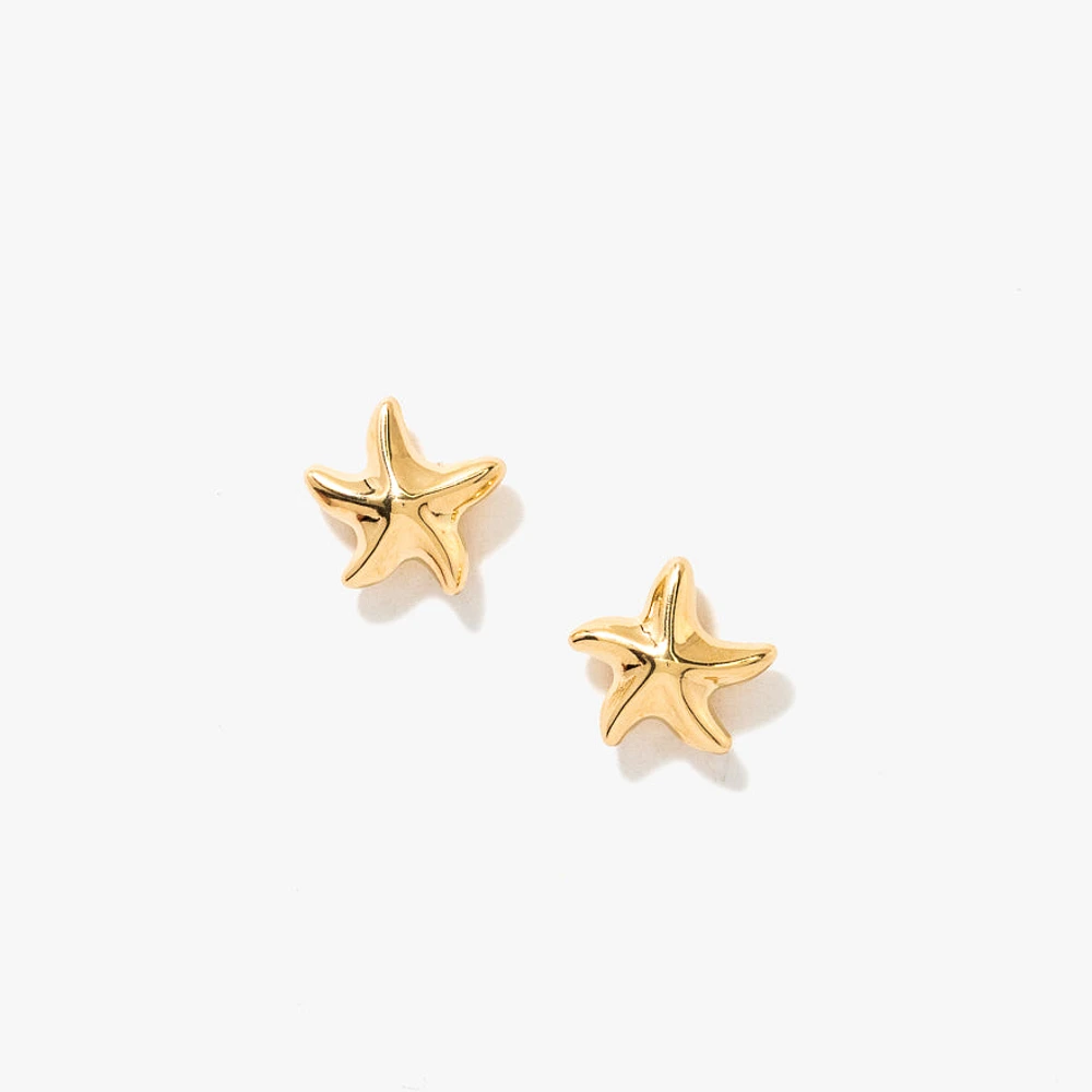 Starfish Stud Earrings in 14K Yellow Gold