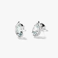 Aquamarine Earrings in 10K White Gold