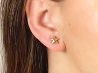 Starfish Stud Earrings in 14K Yellow Gold