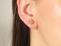 Eight Point Star Stud Earrings in 14K Yellow Gold