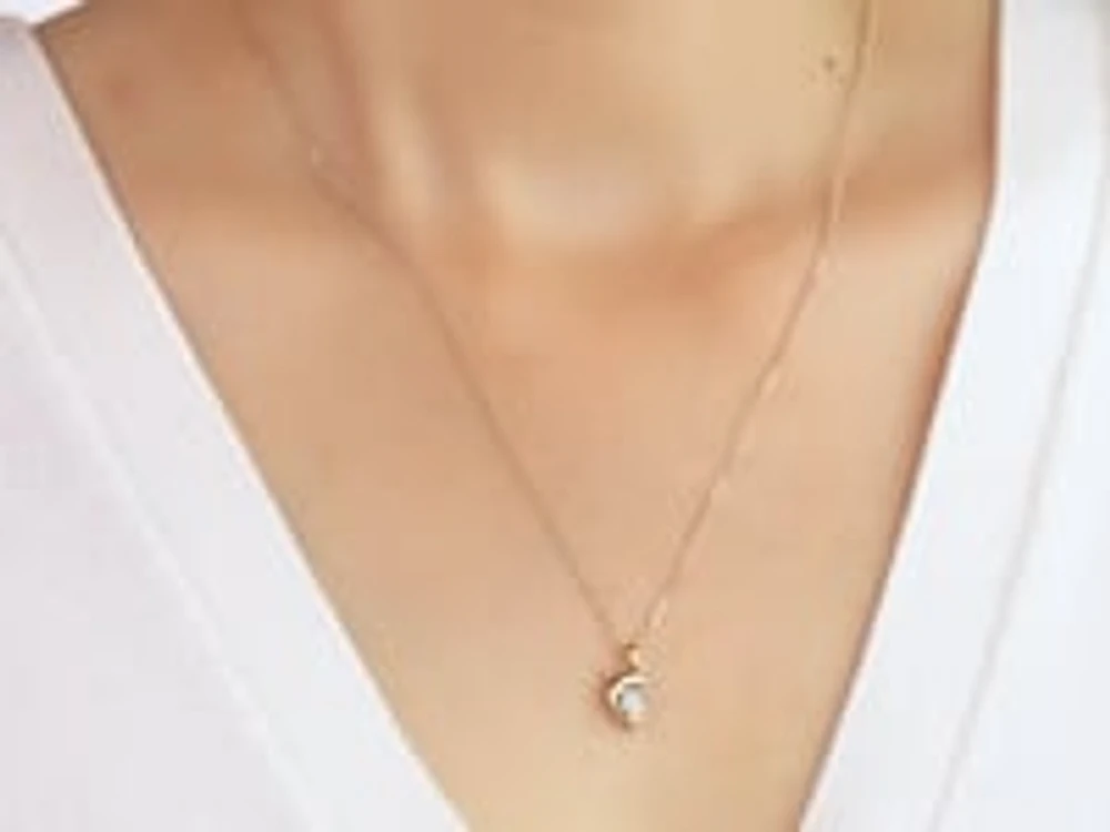 Diamond Dolphin Necklace in 10K Yellow and White Gold (0.04 ct tw)