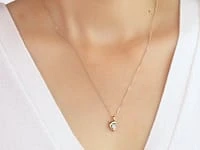 Diamond Dolphin Necklace in 10K Yellow and White Gold (0.04 ct tw)