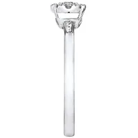 10K White Gold Diamond Promise Ring (0.27ct tw)