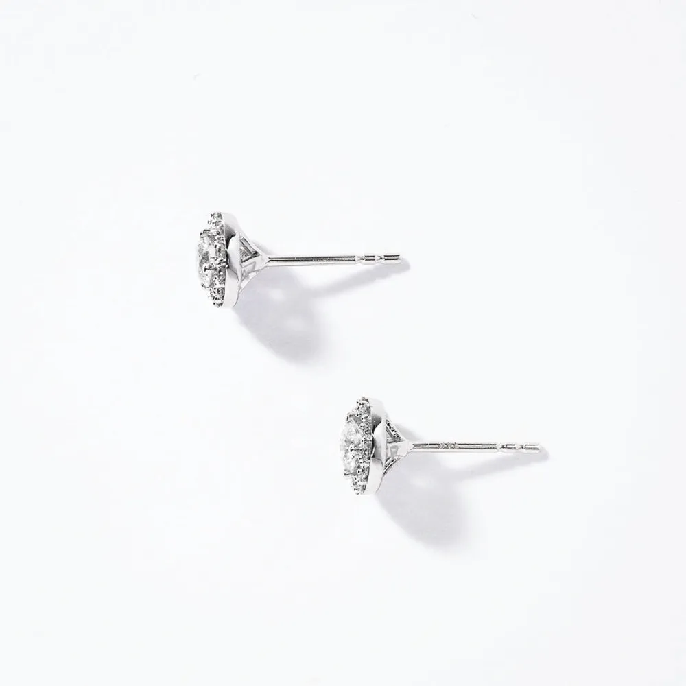 Diamond Stud Earrings in 14K White Gold (0.75 ct tw)