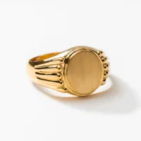 Men's Oval Signet Ring 10K Yellow Gold