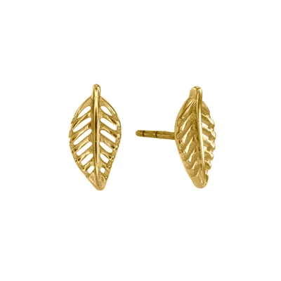 Leaf Stud Earrings in 10K Yellow Gold