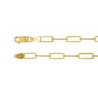 10K Yellow Gold 3mm Paper Clip Chain (18”)