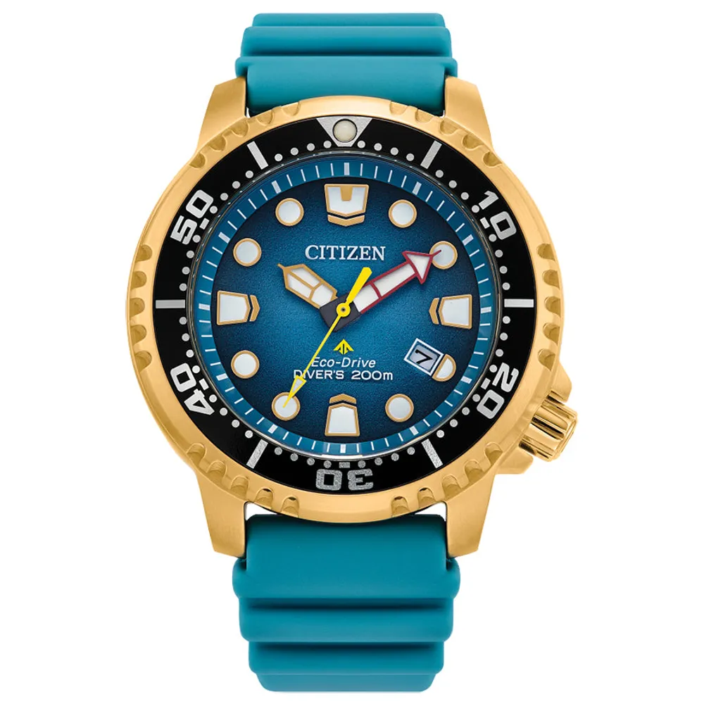 Citizen Eco-Drive Promaster Dive Men's Watch | BN0162-02X