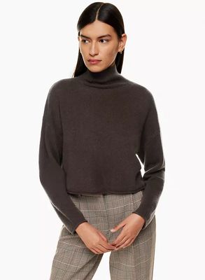 Luxe Cashmere Turtleneck