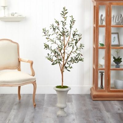 57" Olive Artificial Tree in Sand Colored Urn, Green