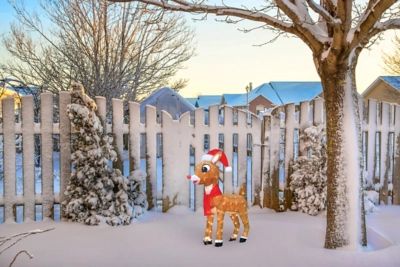 Rudolph 32 Inch Rudolph in Santa Hat and Scarf Outdoor LED 3D Yard Decor, Brown