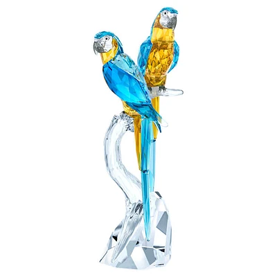 Macaws by SWAROVSKI