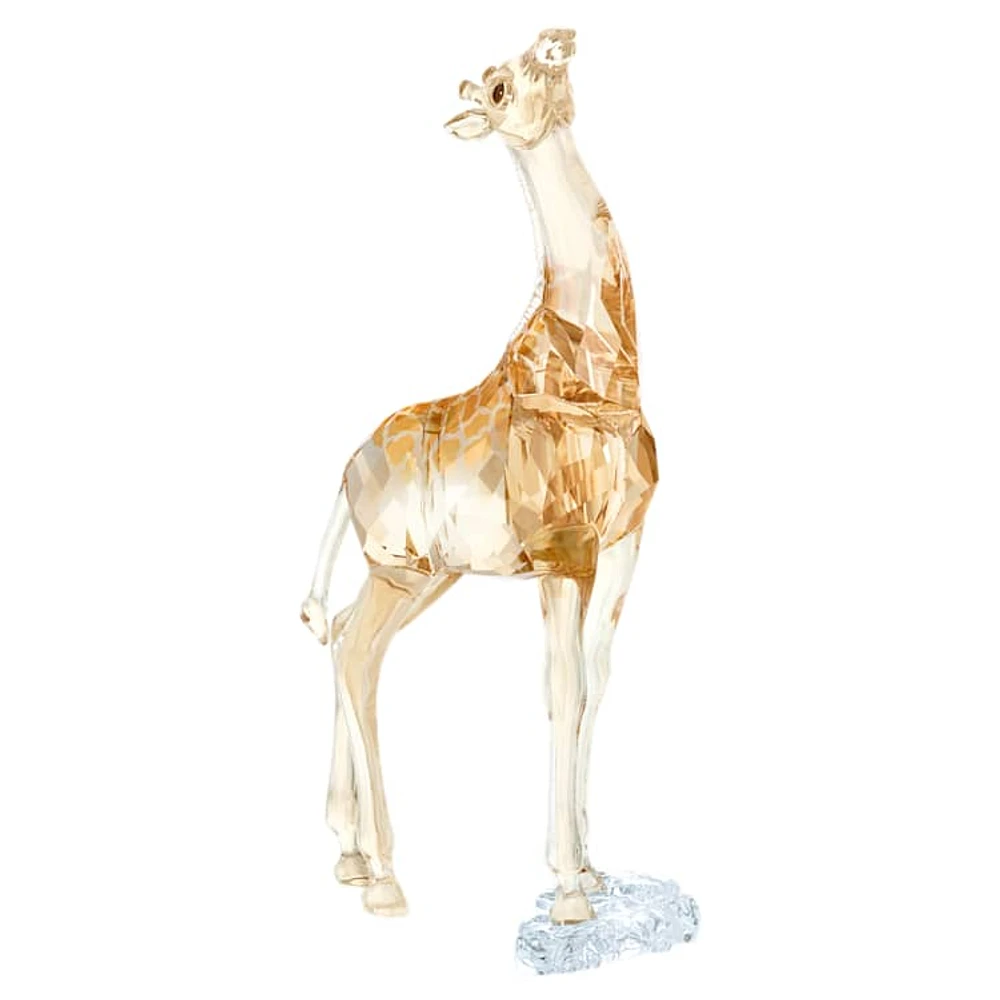 SCS Giraffe Baby by SWAROVSKI