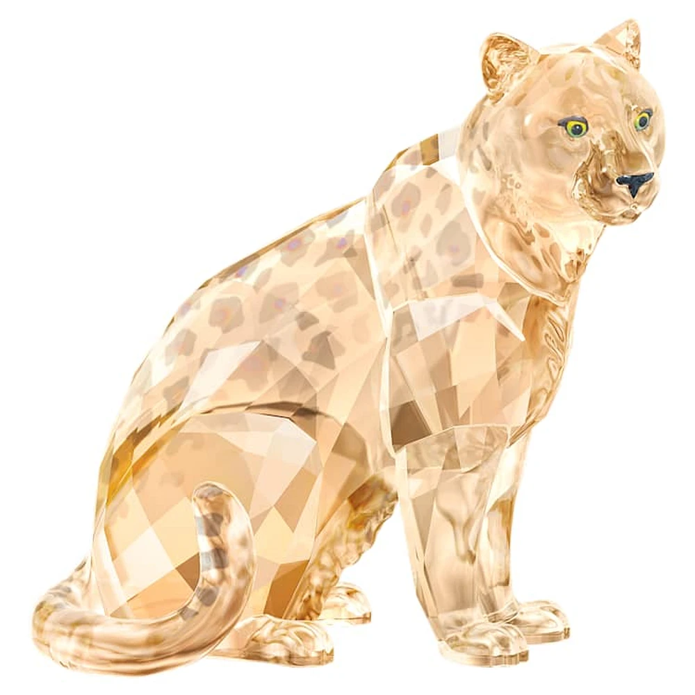 SCS A.E. 2019 Amur Leopard Sofia by SWAROVSKI