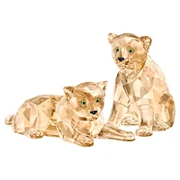 SCS Amur Leopard Cubs by SWAROVSKI