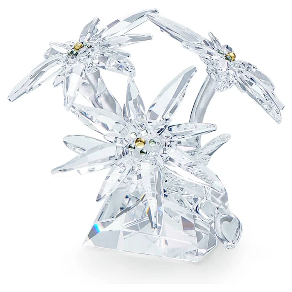 SCS Edelweiss by SWAROVSKI