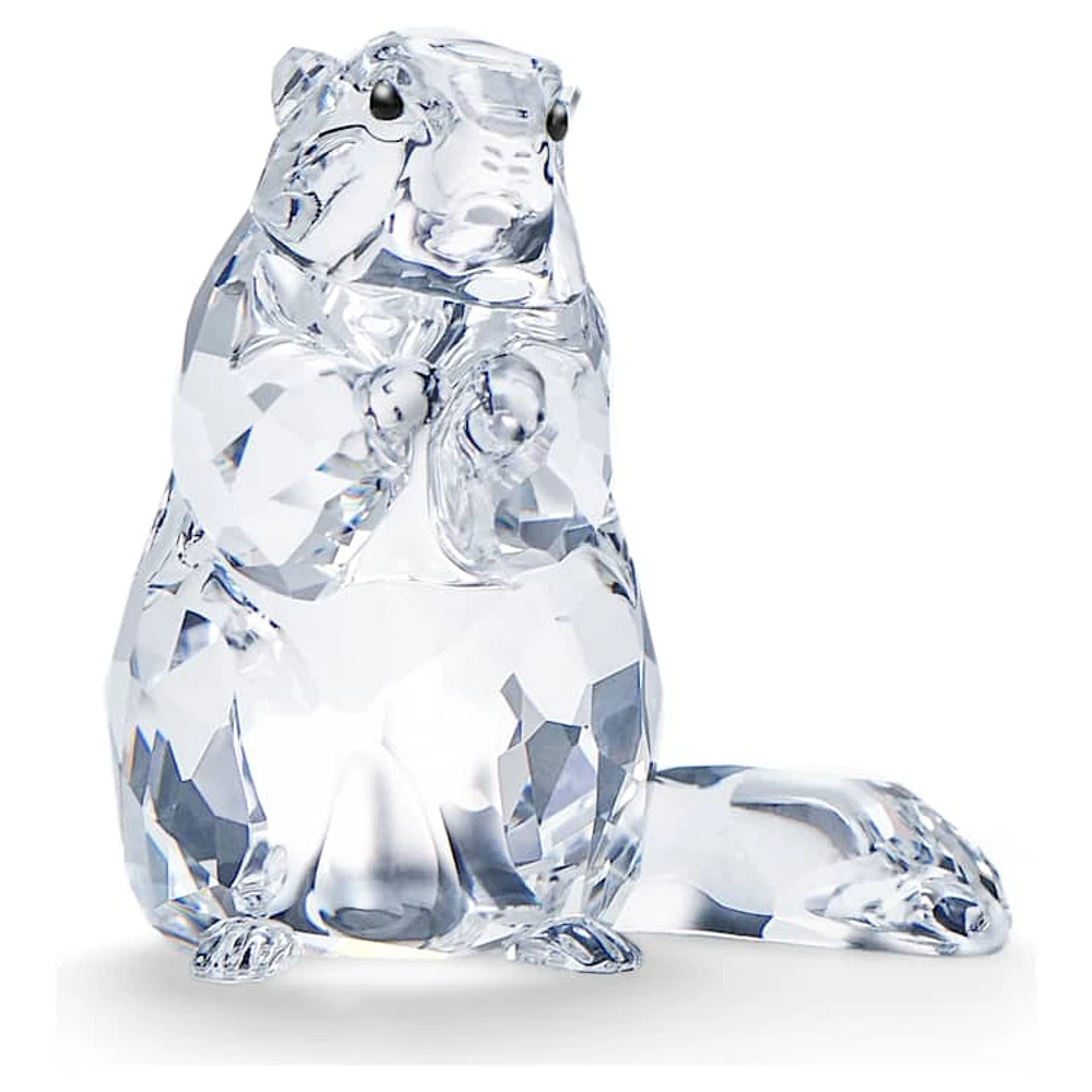 SCS Marmot (Event Piece 2020) by SWAROVSKI