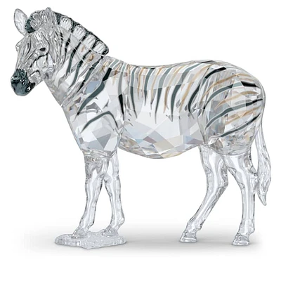 Elegance of Africa SCS Annual Edition 2021 Zebra Amai by SWAROVSKI