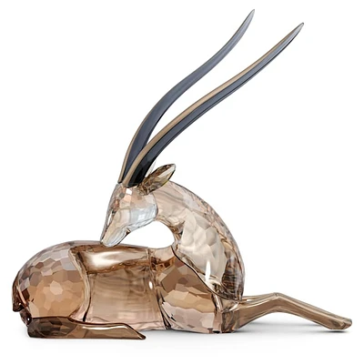 African Sunset Gazelle Jabali by SWAROVSKI