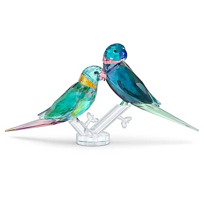 Jungle Beats Parakeet Couple Fife & Fifer by SWAROVSKI