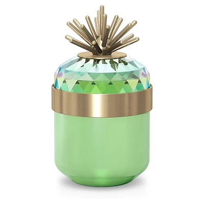 Jungle Beats Decorative Box Andoki, Light Green by SWAROVSKI