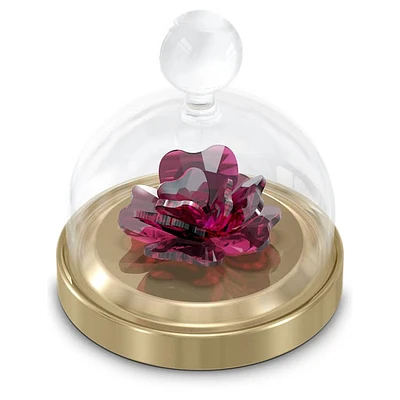 Garden Tales Rose Bell Jar, Small by SWAROVSKI