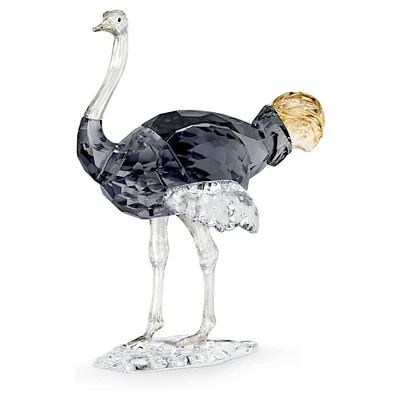 Elegance of Africa SCS Ostrich Makena by SWAROVSKI