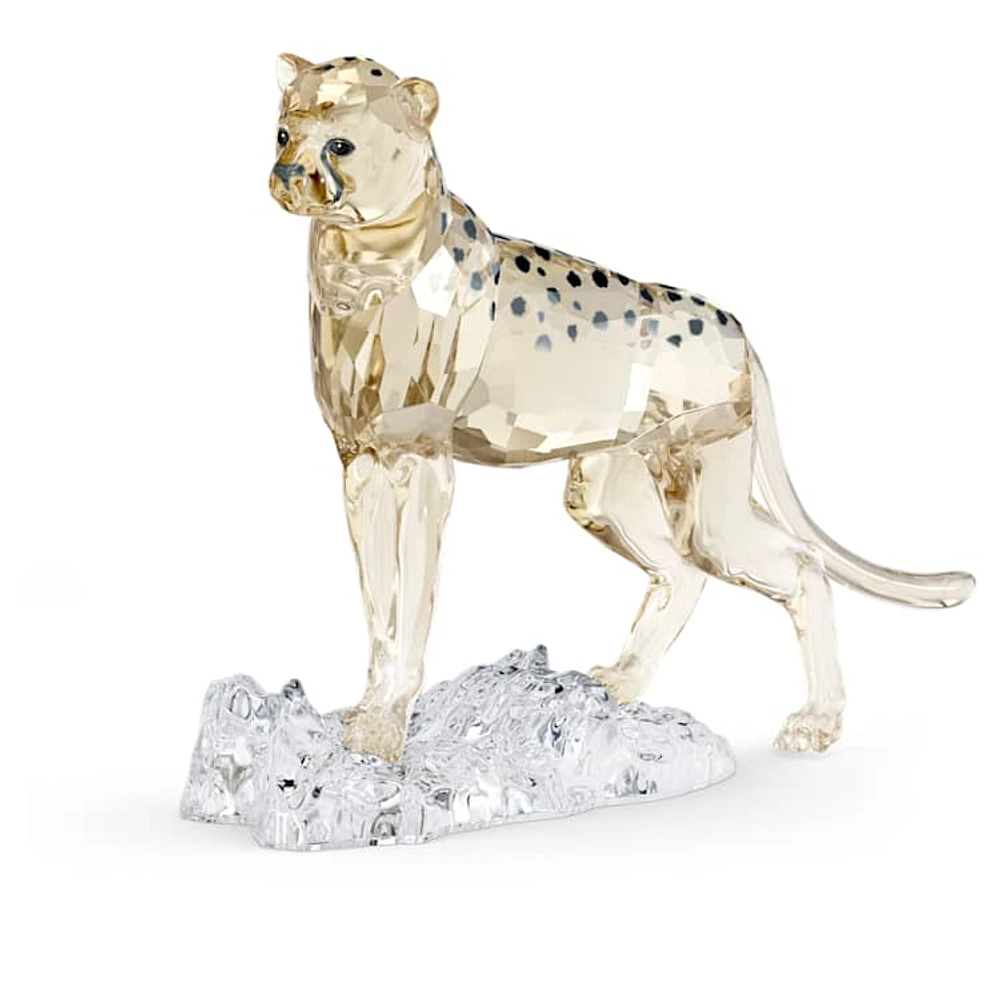 Elegance of Africa SCS Cheetah Baby Jabari by SWAROVSKI