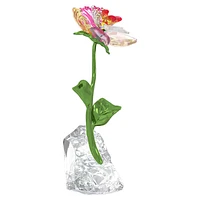 Idyllia Flower, Small by SWAROVSKI