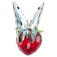 Idyllia Butterfly and Strawberry by SWAROVSKI