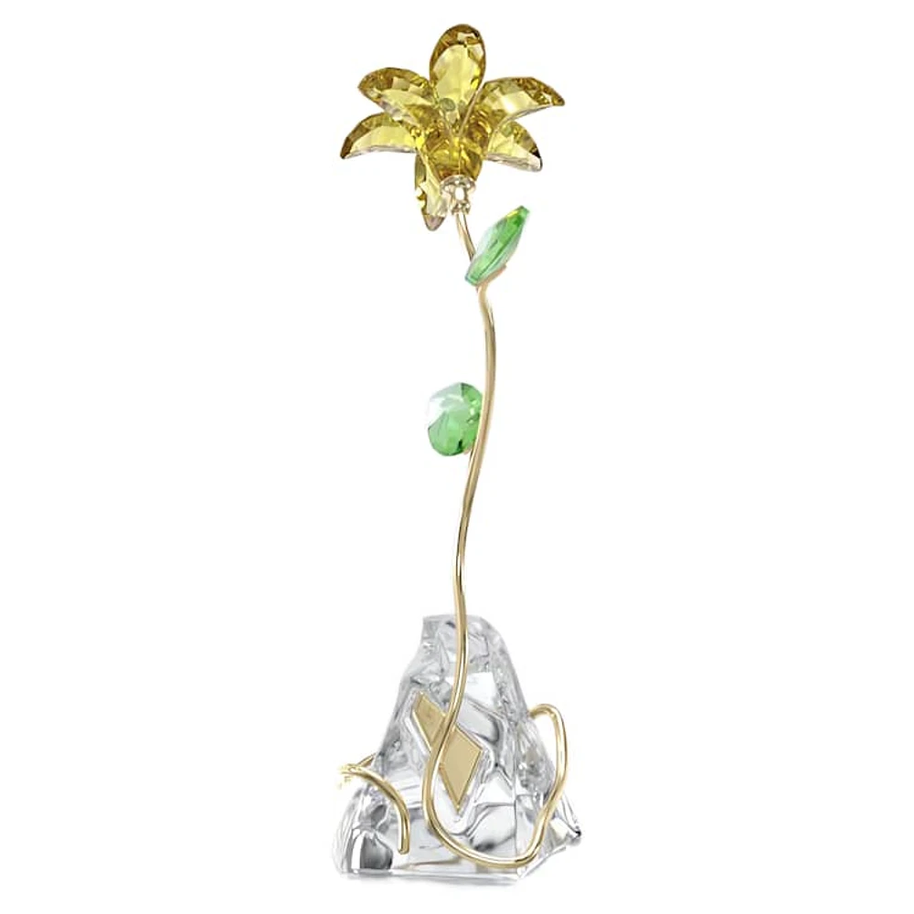 Florere Lily by SWAROVSKI